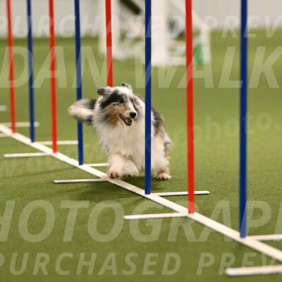 Ruffiann-Anne-Ujczo-01471