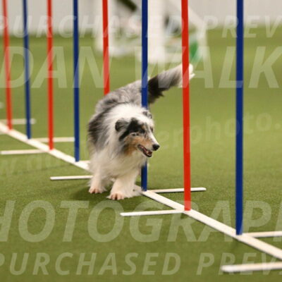 Ruffiann-Anne-Ujczo-01472