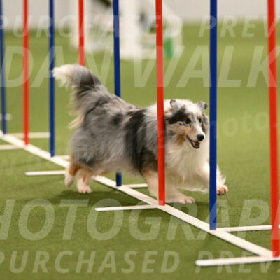 Ruffiann-Anne-Ujczo-01473