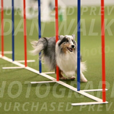 Ruffiann-Anne-Ujczo-01474