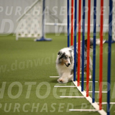 Ruffiann-Anne-Ujczo-01475