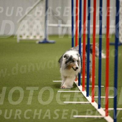 Ruffiann-Anne-Ujczo-01476