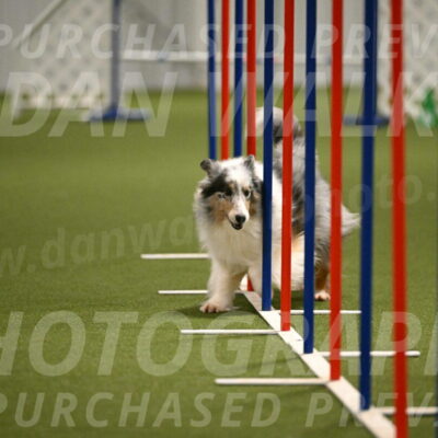 Ruffiann-Anne-Ujczo-01477