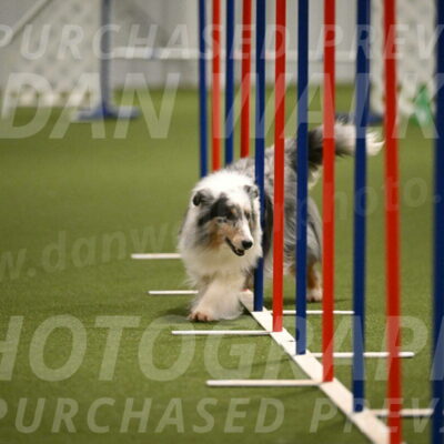 Ruffiann-Anne-Ujczo-01478