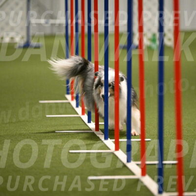 Ruffiann-Anne-Ujczo-01479