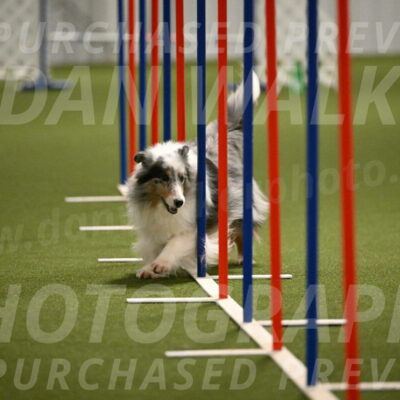 Ruffiann-Anne-Ujczo-01481