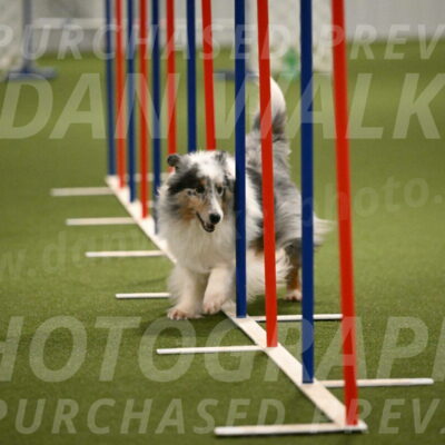 Ruffiann-Anne-Ujczo-01482