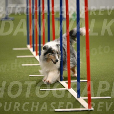 Ruffiann-Anne-Ujczo-01483