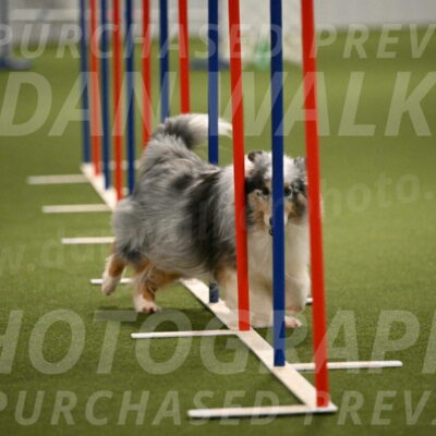 Ruffiann-Anne-Ujczo-01484