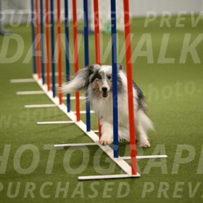 Ruffiann-Anne-Ujczo-01485