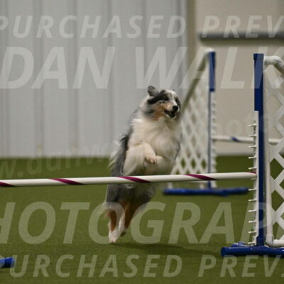 Ruffiann-Anne-Ujczo-01486