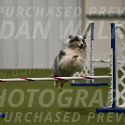 Ruffiann-Anne-Ujczo-01487