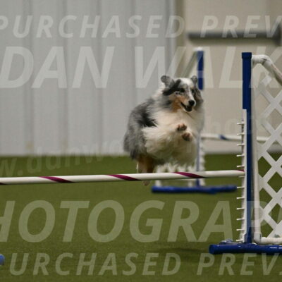 Ruffiann-Anne-Ujczo-01488