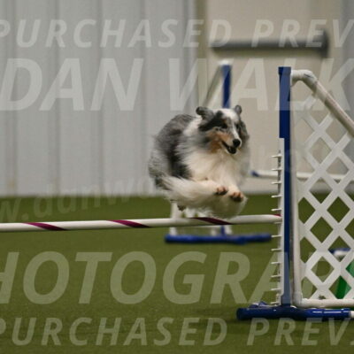 Ruffiann-Anne-Ujczo-01489