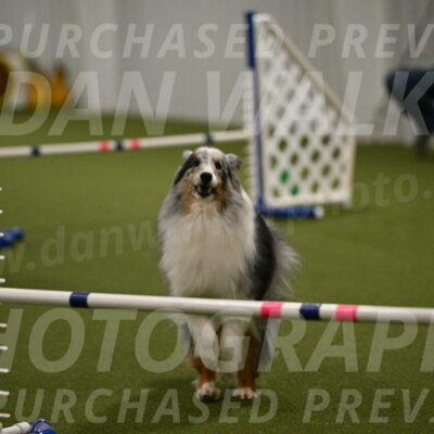 Ruffiann-Anne-Ujczo-01490