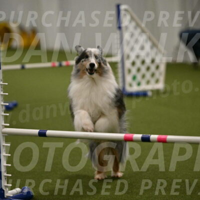 Ruffiann-Anne-Ujczo-01491