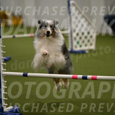 Ruffiann-Anne-Ujczo-01492