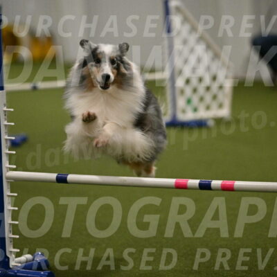 Ruffiann-Anne-Ujczo-01493