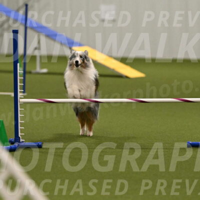 Ruffiann-Anne-Ujczo-01495