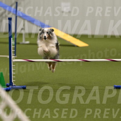 Ruffiann-Anne-Ujczo-01496