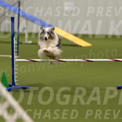 Ruffiann-Anne-Ujczo-01497