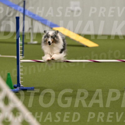 Ruffiann-Anne-Ujczo-01498