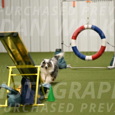 Ruffiann-Anne-Ujczo-01500