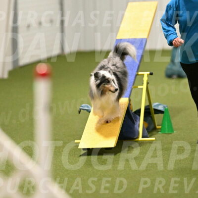 Ruffiann-Anne-Ujczo-01501