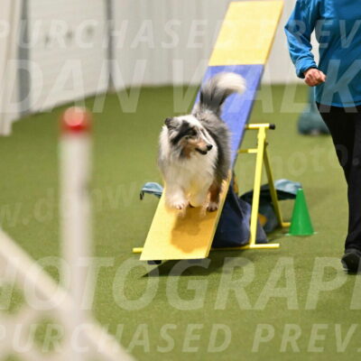 Ruffiann-Anne-Ujczo-01502