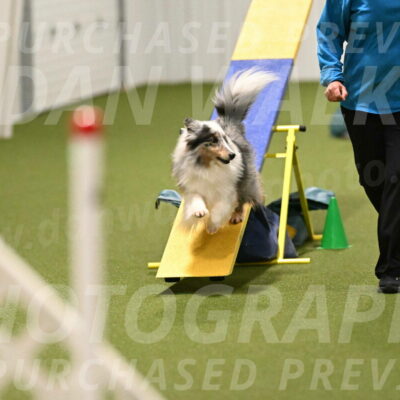 Ruffiann-Anne-Ujczo-01503