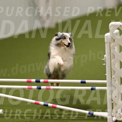 Ruffiann-Anne-Ujczo-01504