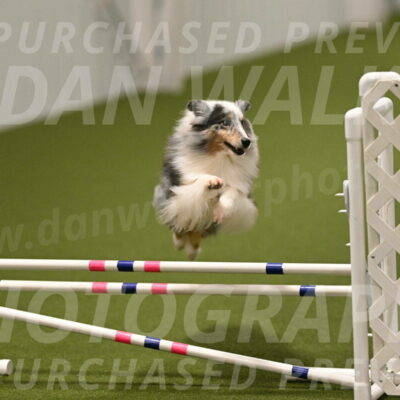 Ruffiann-Anne-Ujczo-01505