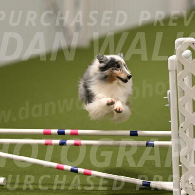 Ruffiann-Anne-Ujczo-01506