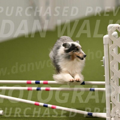 Ruffiann-Anne-Ujczo-01507