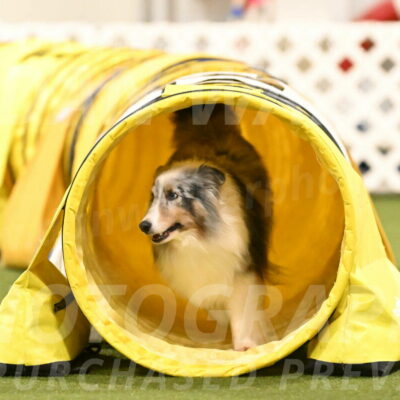 Ruffiann-Anne-Ujczo-01508