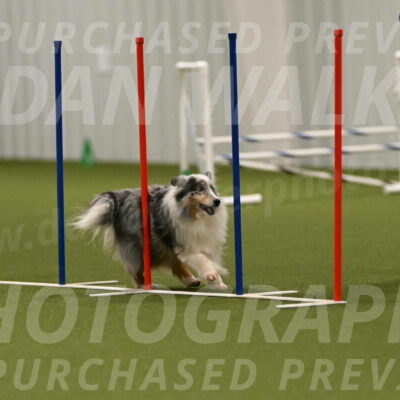 Ruffiann-Anne-Ujczo-01510