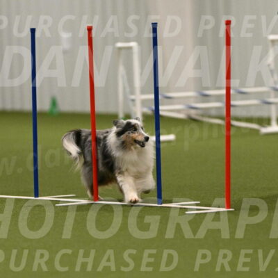 Ruffiann-Anne-Ujczo-01511