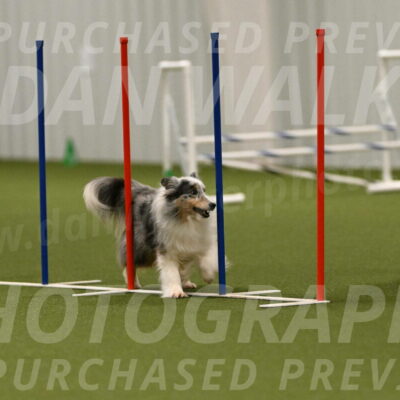 Ruffiann-Anne-Ujczo-01512