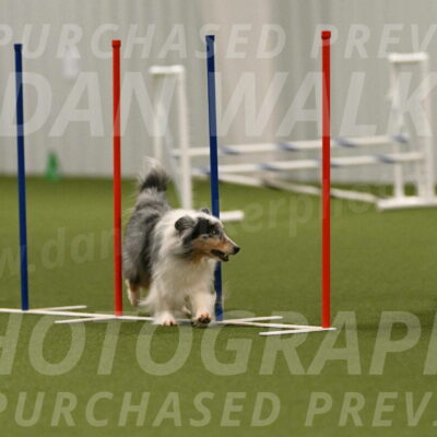 Ruffiann-Anne-Ujczo-01513