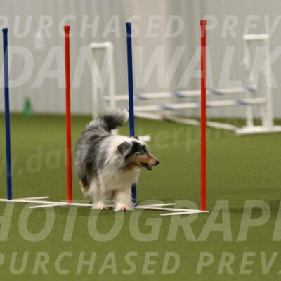 Ruffiann-Anne-Ujczo-01514