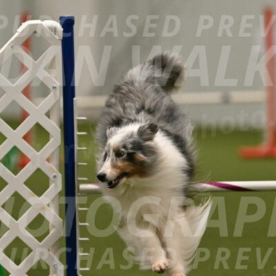 Ruffiann-Anne-Ujczo-01515