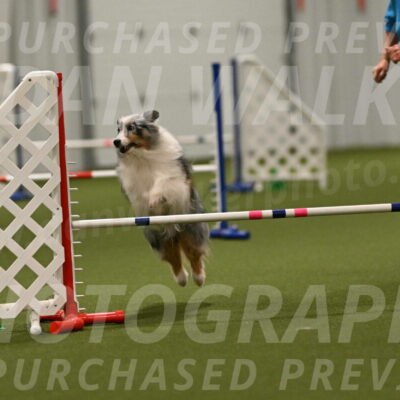 Ruffiann-Anne-Ujczo-01516