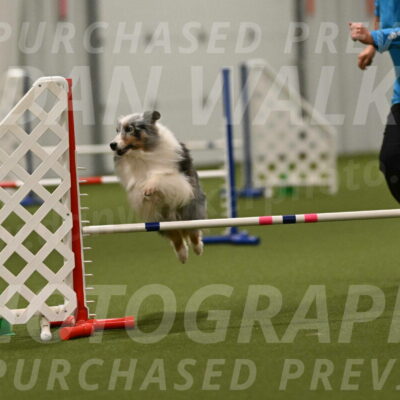 Ruffiann-Anne-Ujczo-01517