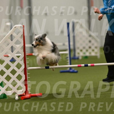 Ruffiann-Anne-Ujczo-01518