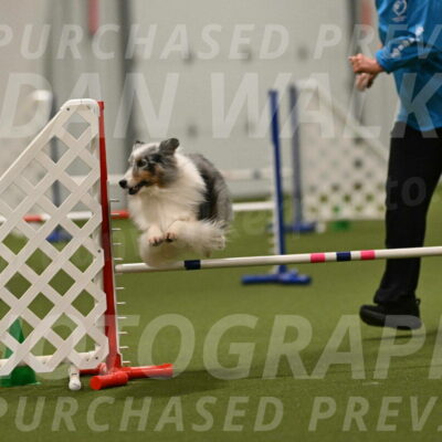 Ruffiann-Anne-Ujczo-01519