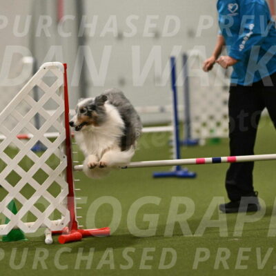 Ruffiann-Anne-Ujczo-01520