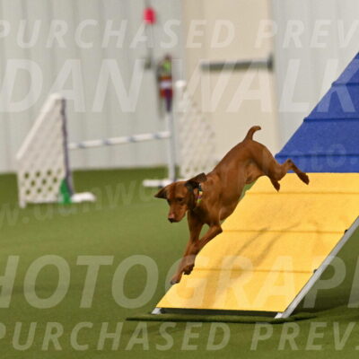 Rumble-Tim-Dillon-02836