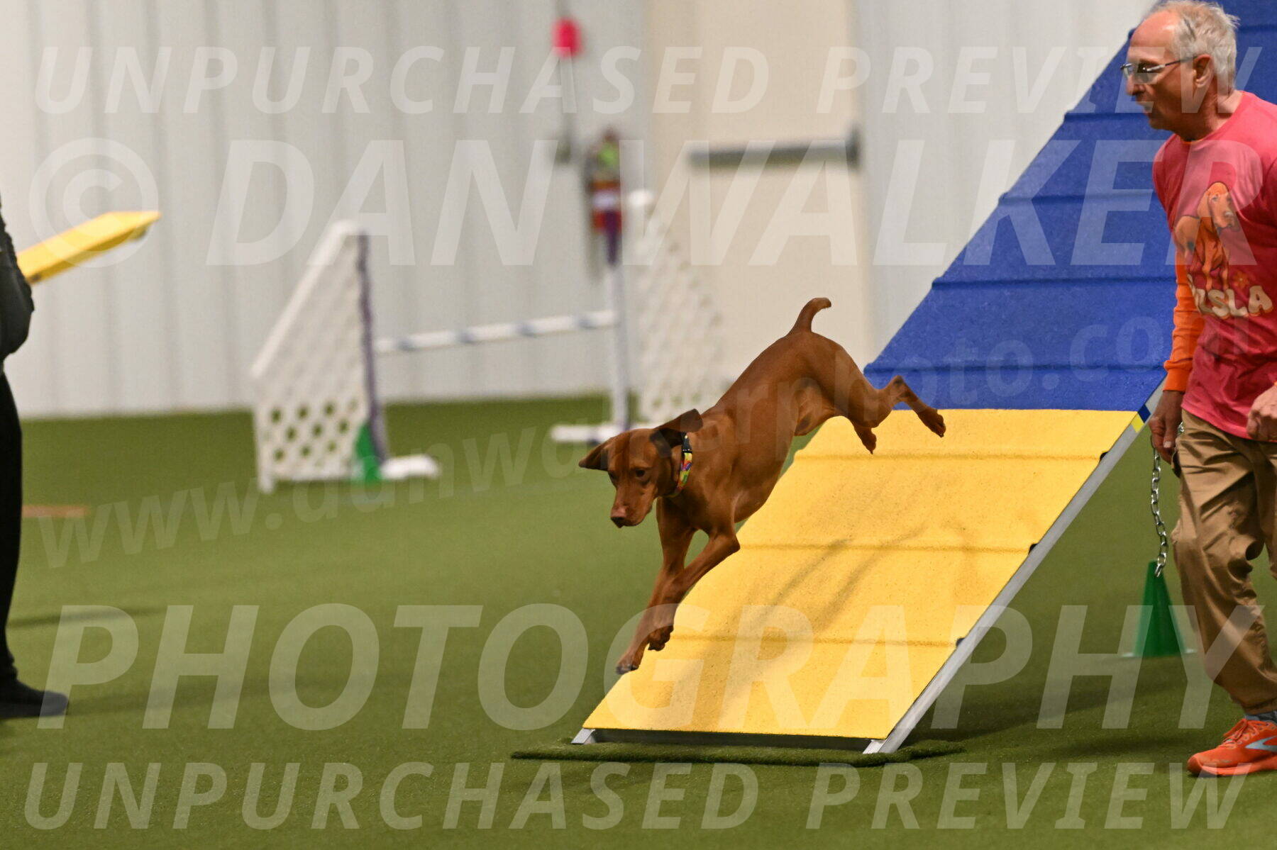 Rumble-Tim-Dillon-02836