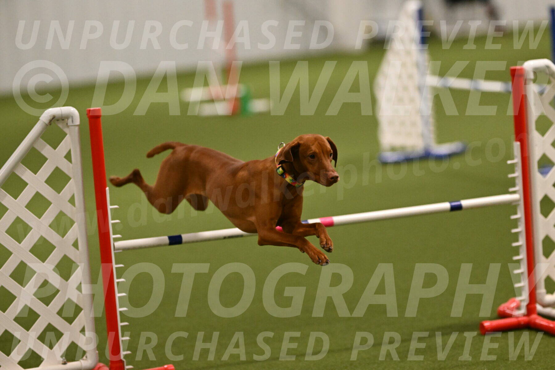 Rumble-Tim-Dillon-02837