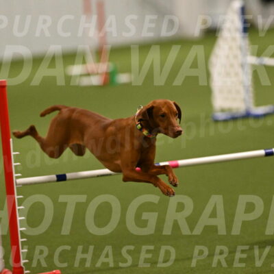 Rumble-Tim-Dillon-02837